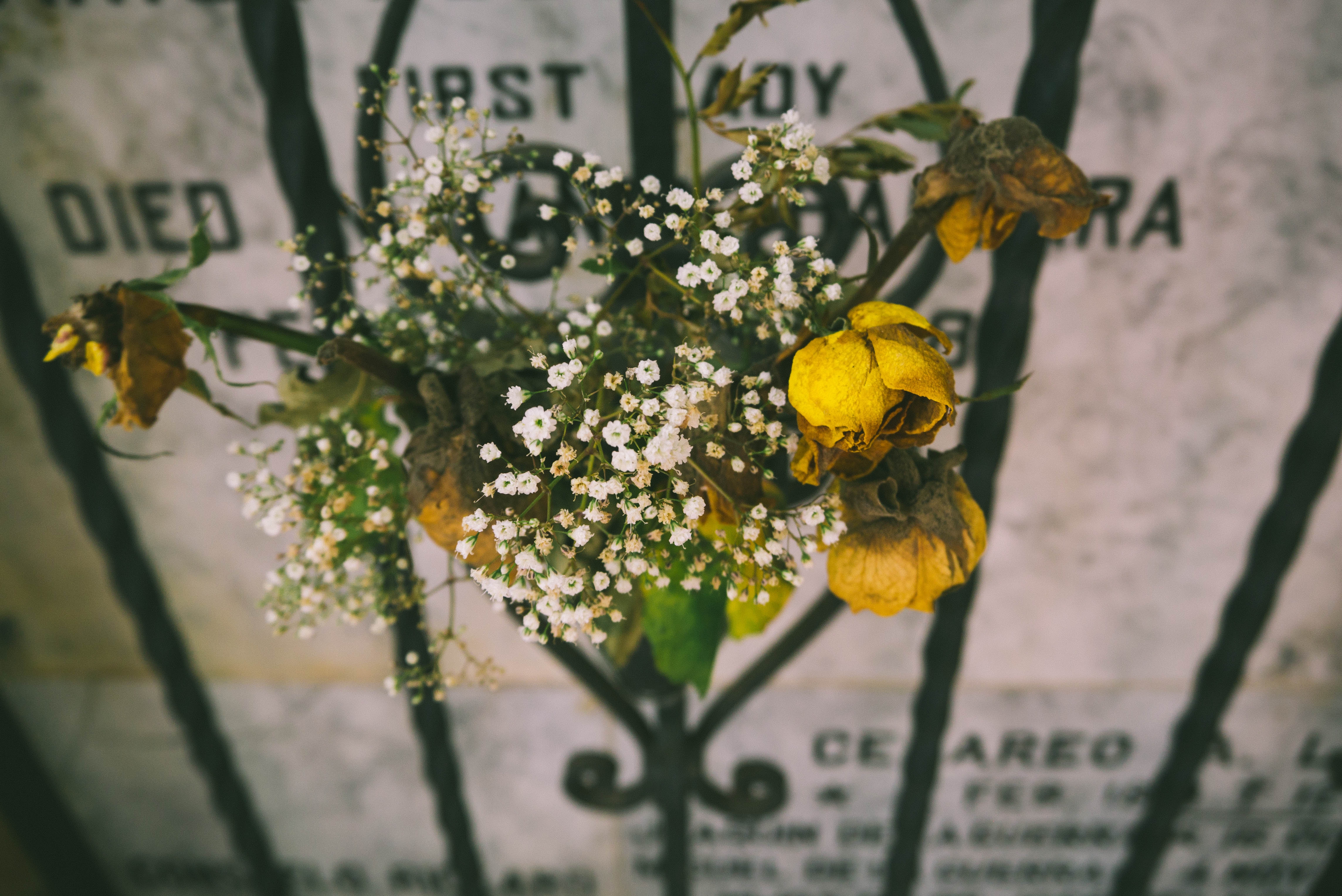 Why Women Need a Death File: The Last End of Life Planning Checklist You’ll Need
