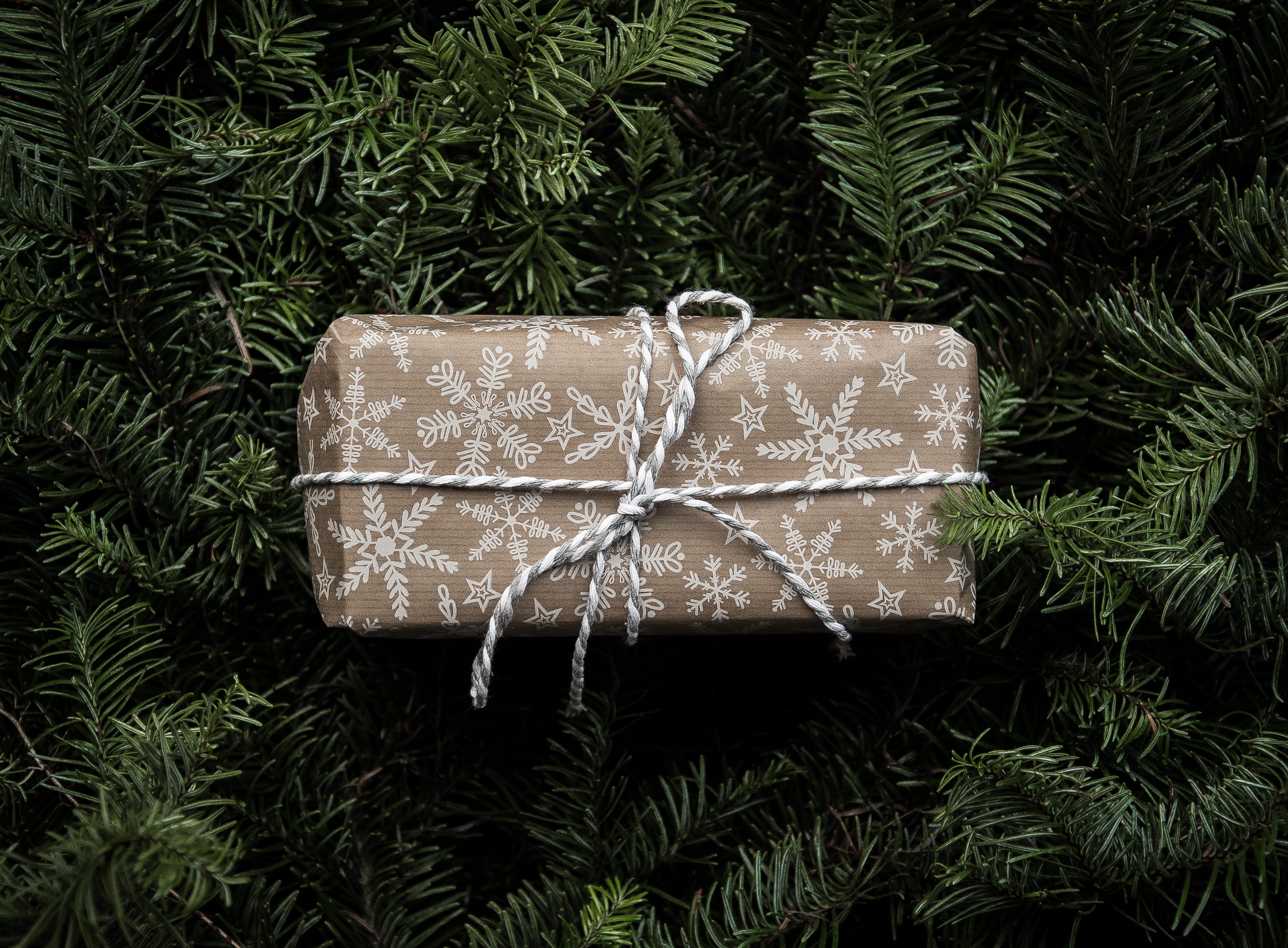 Eco-Friendly Christmas Holiday Gift Ideas